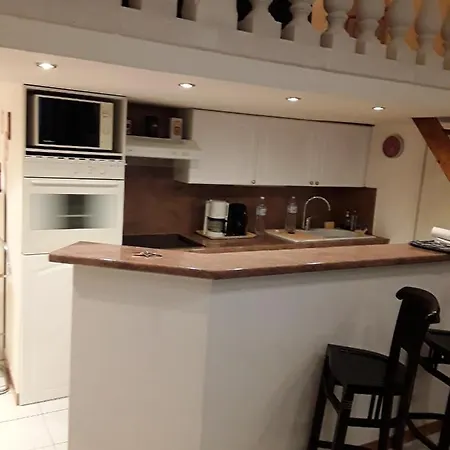 L'anthurium De L'opera Nice